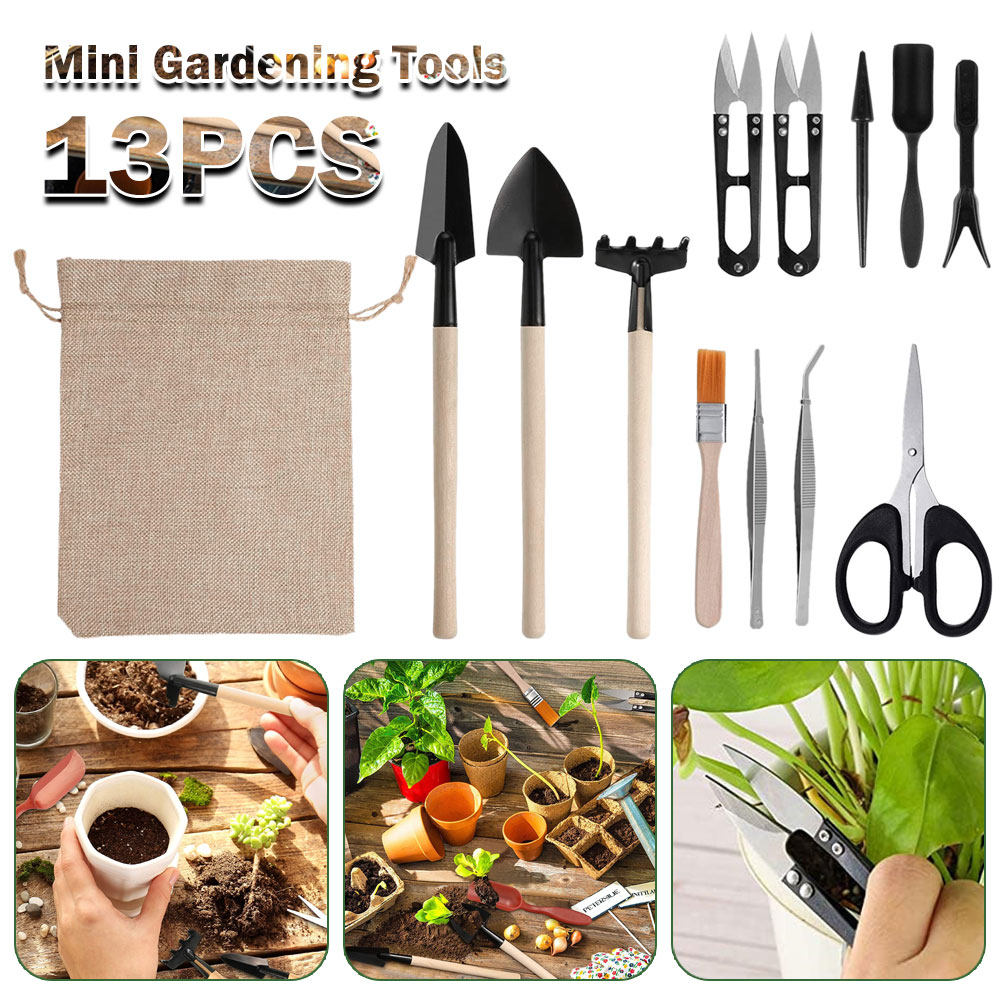 Ferramentas de plantas suculen - Bonsai Tool Set avaliação e preço