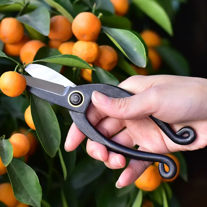 Tesoura de poda de jardim em a - Bonsai Tool Set avaliação e preço