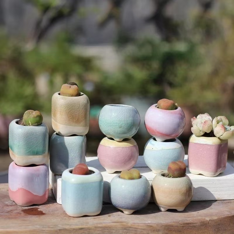 6 pçs mini vaso de flores sucu - Bonsai Garden Zen avaliação e preço