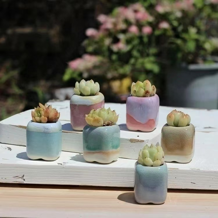 6 pçs mini vaso de flores sucu - Bonsai Garden Zen avaliação e preço